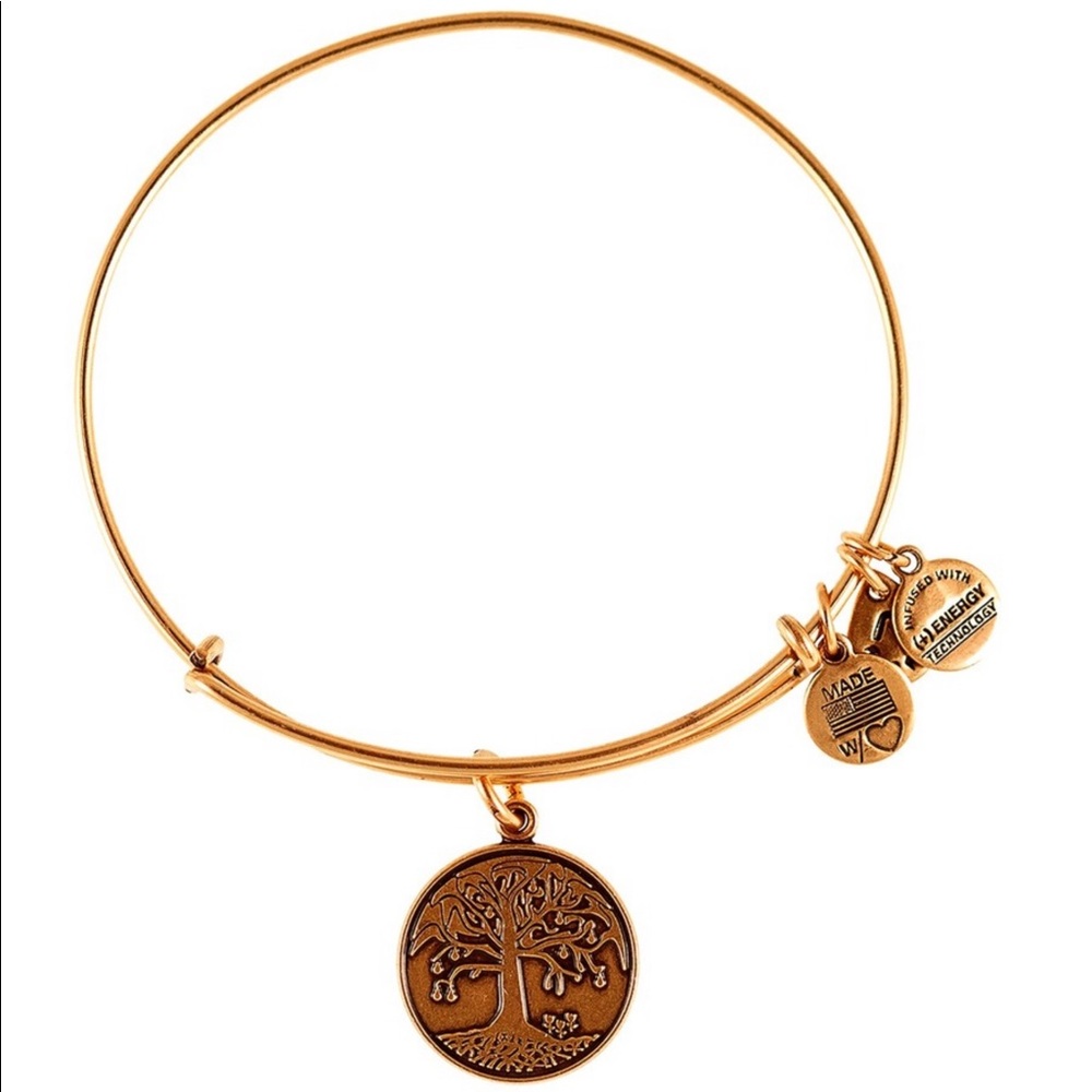 Alex and Ani Charm Expandable Wire Bracelet